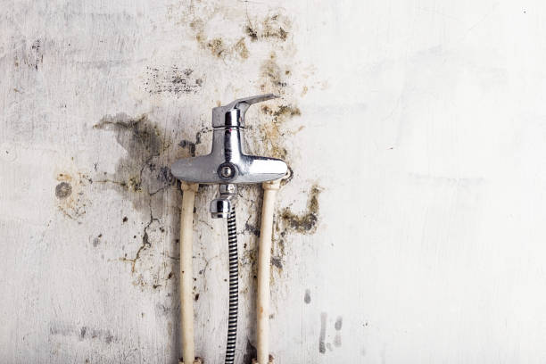 Trusted Sterling, KS Mold Remediation Experts