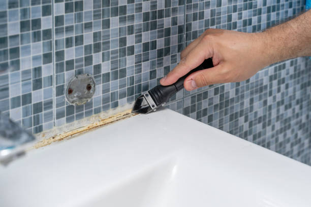 Professional Mold Remediation in Sterling, KS