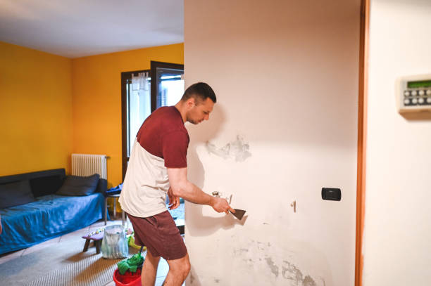 Best Preventive Mold Services in Sterling, KS